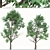 Lush Box Elder Trees Duo 3D model small image 2