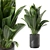 Decorative Indoor Plants Set 227 3D model small image 1