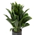 Decorative Indoor Plants Set 227 3D model small image 2