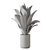 Decorative Indoor Plants Set 227 3D model small image 4