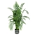 Indoor Palm Leaf - Collection Plant Vol 307 3D model small image 2