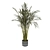 Indoor Palm Leaf - Collection Plant Vol 307 3D model small image 3