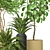 Indoor Plant Vol 35: Realistic 3D Model 3D model small image 3