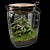 Exquisite Terrarium Plant Assortment 3D model small image 1