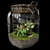 Exquisite Terrarium Plant Assortment 3D model small image 2