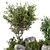 Outdoor Garden Bush and Tree Set 3D model small image 6