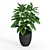 Black Pot Plant: Stylish and Low Maintenance 3D model small image 1