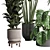 Indoor Plant Collection: Ficus, Monstera, Palm 3D model small image 2