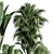 Indoor Plant Collection: Ficus, Monstera, Palm 3D model small image 4