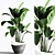 Indoor Plant Set: Green Oasis 3D model small image 2