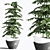 Indoor Plant Set: Green Oasis 3D model small image 3