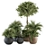 342-Piece Indoor Plant Set 3D model small image 1