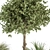 342-Piece Indoor Plant Set 3D model small image 5