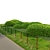  Emerald Green Ligustrum Bush 3D model small image 2