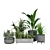 Boxed Interior Plant Set 3D model small image 2