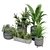 Boxed Interior Plant Set 3D model small image 5