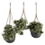 Hanging Plant Set with Rope 3D model small image 1