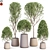 Lush Greenery: Plants Collection 635 3D model small image 1