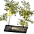 Backyard Oasis: Gravel, Stone, Spotlight, Plant 3D model small image 1