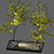 Backyard Oasis: Gravel, Stone, Spotlight, Plant 3D model small image 2
