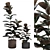 Burgundy Rubber Tree: Tropical Flair 3D model small image 2