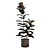 Burgundy Rubber Tree: Tropical Flair 3D model small image 4