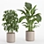 Lush Indoor Plant Set 016 3D model small image 3