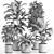 Lush Indoor Plant Set 016 3D model small image 4