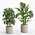 Lush Indoor Plant Set 016 3D model small image 7
