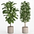 Lush Indoor Plant Set 016 3D model small image 8