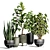 Indoor Plant Collection 43 3D model small image 1