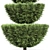 Beloved Italian Cypress: 6 Stunning Trees 3D model small image 2