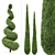 Beloved Italian Cypress: 6 Stunning Trees 3D model small image 4