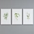 Modern Botanical Picture Frame Set 3D model small image 4