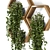  Hanging Indoor Plants: Concrete Pot on Wooden Shelve 3D model small image 2