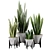 Botanical Bliss: Indoor Houseplants Set 3D model small image 1