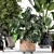 Rustic Concrete Pot Set with Indoor Plants 3D model small image 6