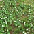 Meadow Bliss: Clover Plants 3D model small image 2