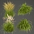 Grass Collection - High-Quality Outdoor Leaf Models 3D model small image 1