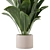  Lush Greens Indoor Plants Set 3D model small image 2