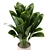  Lush Greens Indoor Plants Set 3D model small image 3