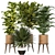 Versatile Indoor Plant Set: 4 Stunning Models 3D model small image 1