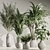 Natural Green Indoor Plant Set 3D model small image 2