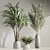 Natural Green Indoor Plant Set 3D model small image 3