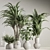 Natural Green Indoor Plant Set 3D model small image 4