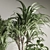 Natural Green Indoor Plant Set 3D model small image 6