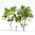 Premium Tree Models: Acer Saccharinum & Corymbia Aparrerinja 3D model small image 1