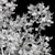 Premium Tree Models: Acer Saccharinum & Corymbia Aparrerinja 3D model small image 7