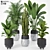 Tropical Garden Plant Set 3D model small image 1