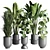 Urban Jungle: Palm, Ficus, & Monstera in Concrete Vase 3D model small image 1